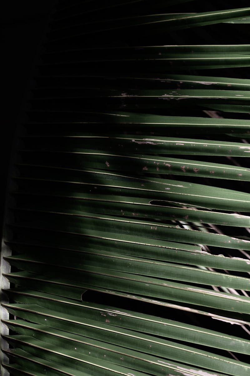 Jaké rolety nebo žaluzie vybrat? Kompletní průvodce